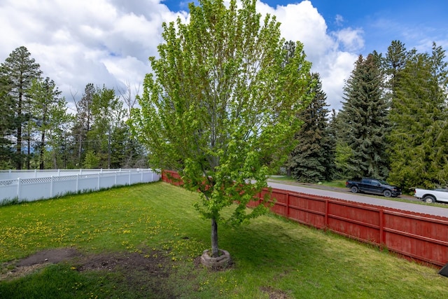 5 Darlene Rd, Columbia Falls, MT 59912 - view of yard
