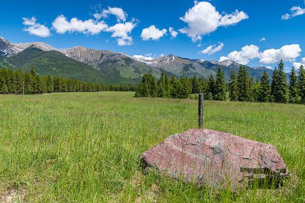 2705 Rumble Creek Rd, Condon, MT 59826 - view of mountain backdrop featuring rural landscape and a heavily wooded area