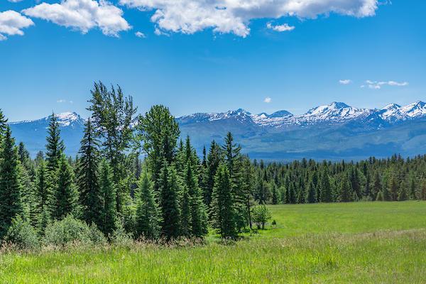 2705 Rumble Creek Rd, Condon, MT 59826 - mountain view with a forest