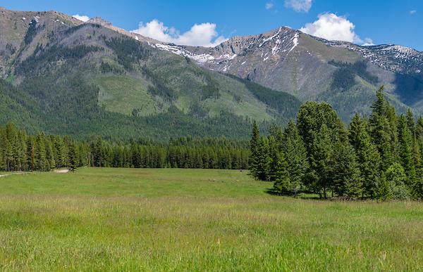 2705 Rumble Creek Rd, Condon, MT 59826 - view of mountain backdrop with a forest