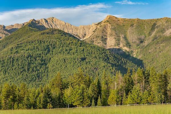 2705 Rumble Creek Rd, Condon, MT 59826 - mountain view with a heavily wooded area