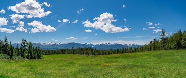 2705 Rumble Creek Rd, Condon, MT 59826 - view of mountain background with a heavily wooded area