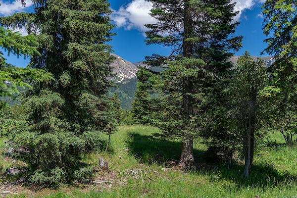 2705 Rumble Creek Rd, Condon, MT 59826 - view of nature featuring a mountain backdrop