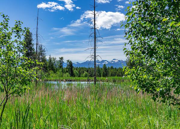 2705 Rumble Creek Rd, Condon, MT 59826 - water view with a mountainous background