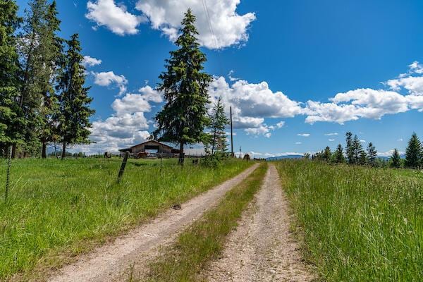 2705 Rumble Creek Rd, Condon, MT 59826 - view of street with a rural view
