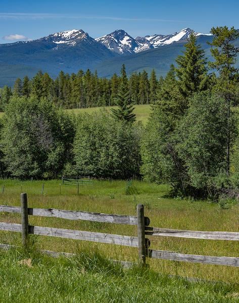 2705 Rumble Creek Rd, Condon, MT 59826 - mountain view featuring a forest