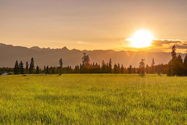 2705 Rumble Creek Rd, Condon, MT 59826 - view of mountain backdrop featuring rural landscape