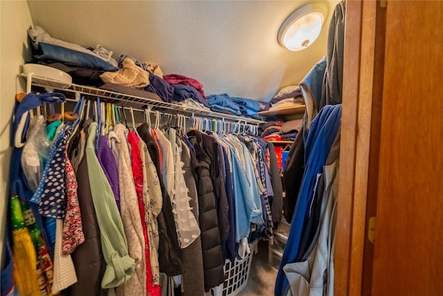 11537 Mt Highway 37 N, Libby, MT 59923 - spacious closet with carpet