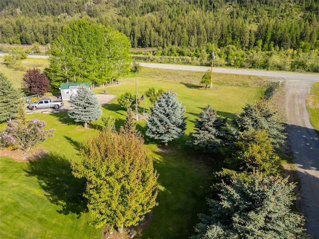 11537 Mt Highway 37 N, Libby, MT 59923 - drone / aerial view of a forest