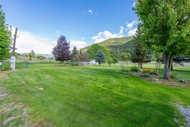 11537 Mt Highway 37 N, Libby, MT 59923 - view of green lawn with a mountain view and golf course view
