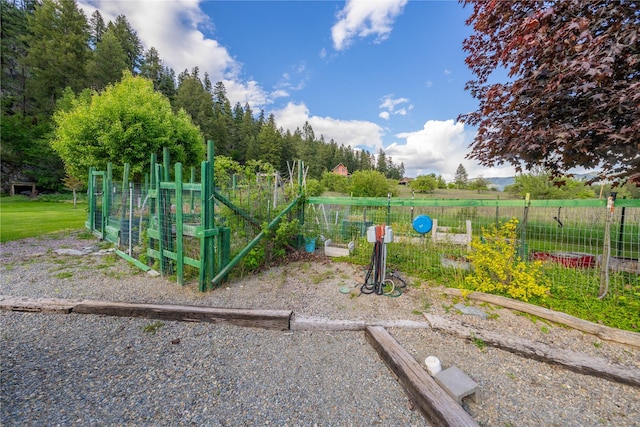 11537 Mt Highway 37 N, Libby, MT 59923 - view of yard featuring a garden
