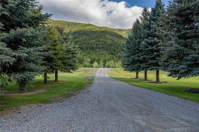 11537 Mt Highway 37 N, Libby, MT 59923 - view of dirt / gravel road with a forest view