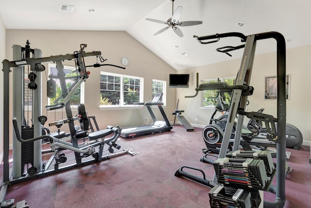 4100 Mullan Rd Unit 102, Missoula, MT 59808 - gym with ceiling fan, lofted ceiling, and baseboards