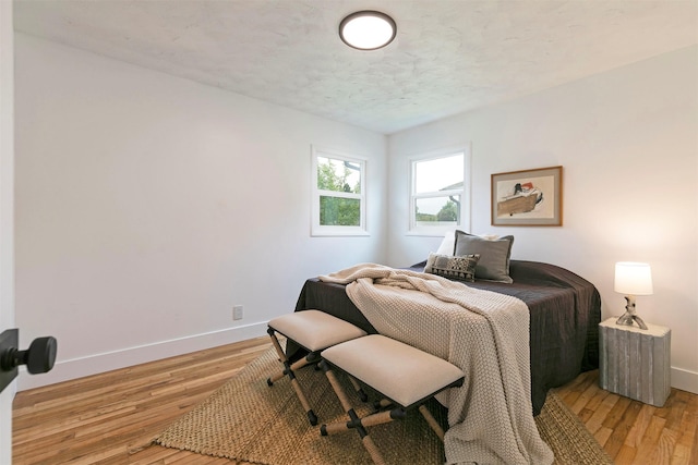 2929 Sunrise Promenade Promenade, Missoula, MT 59801 - bedroom featuring baseboards, light wood-style flooring, and a textured ceiling
