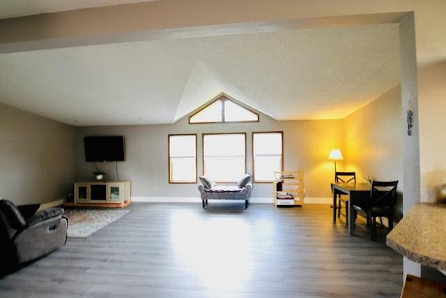 4757 Richlie, Missoula, MT 59808 - living room featuring wood finished floors, baseboards, and vaulted ceiling