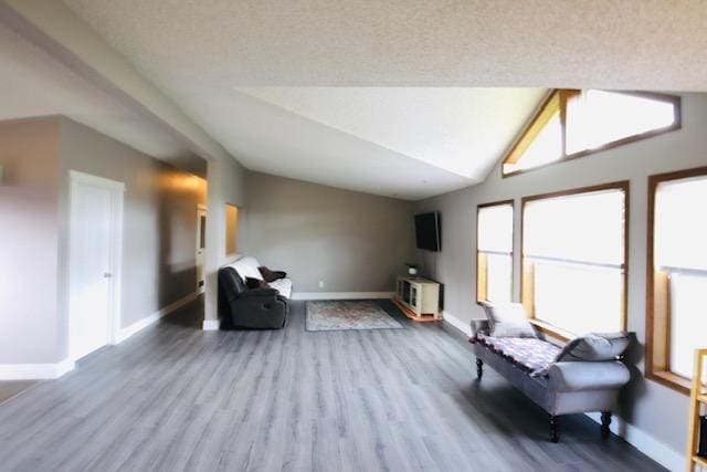 4757 Richlie, Missoula, MT 59808 - sitting room with wood finished floors, healthy amount of natural light, baseboards, and vaulted ceiling