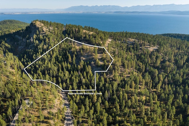 207 Angel Point Preserve, Lakeside, MT 59922