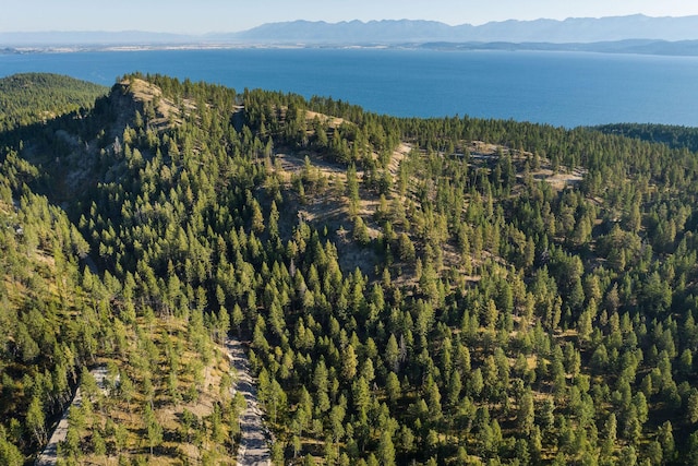 207 Angel Point Preserve, Lakeside, MT 59922