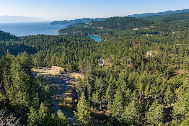207 Angel Point Preserve, Lakeside, MT 59922