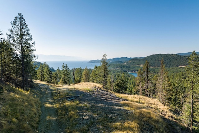 207 Angel Point Preserve, Lakeside, MT 59922