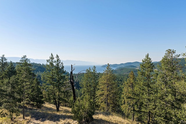 207 Angel Point Preserve, Lakeside, MT 59922