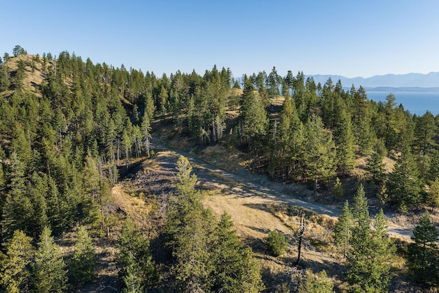 207 Angel Point Preserve, Lakeside, MT 59922