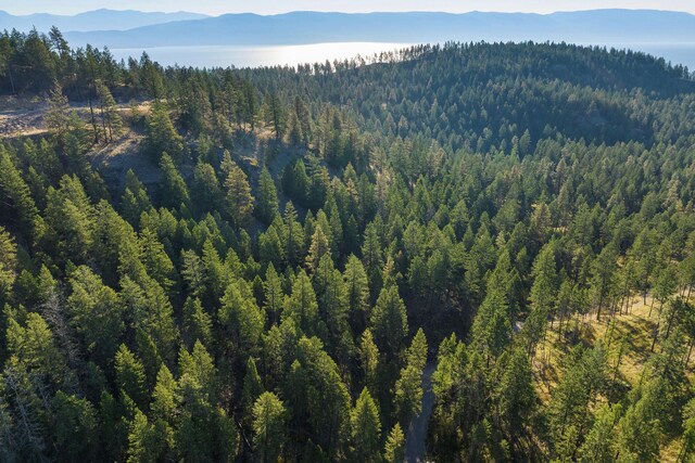 207 Angel Point Preserve, Lakeside, MT 59922