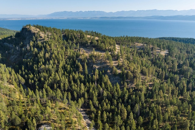 207 Angel Point Preserve, Lakeside, MT 59922
