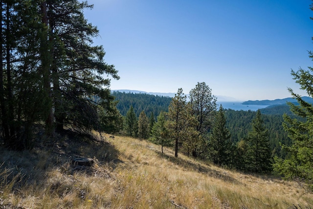 207 Angel Point Preserve, Lakeside, MT 59922
