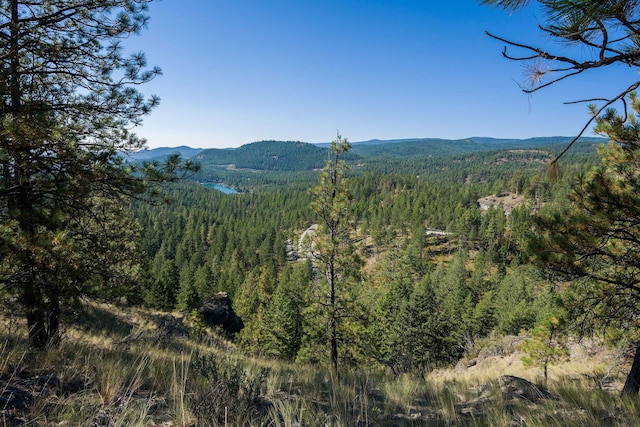 207 Angel Point Preserve, Lakeside, MT 59922
