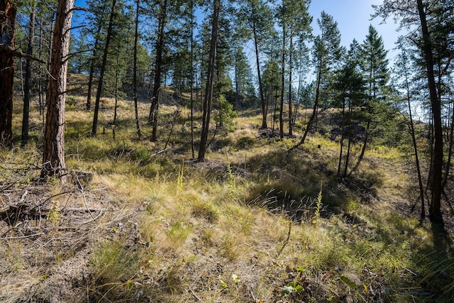207 Angel Point Preserve, Lakeside, MT 59922