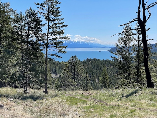 207 Angel Point Preserve, Lakeside, MT 59922