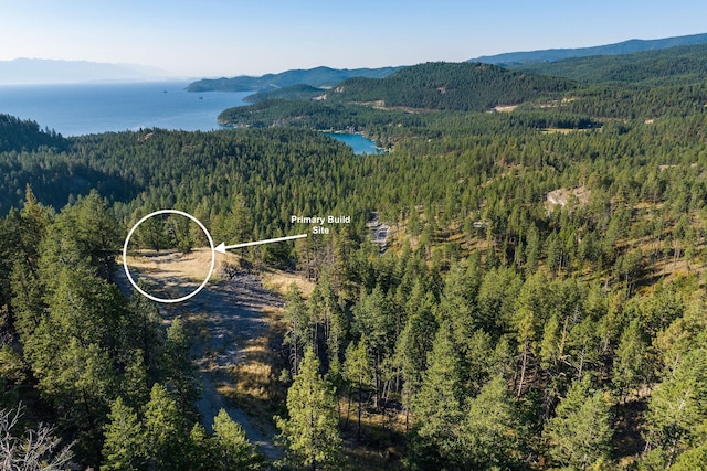 207 Angel Point Preserve, Lakeside, MT 59922