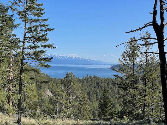 207 Angel Point Preserve, Lakeside, MT 59922