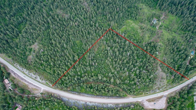NHN US Highway 93, Big Arm, MT 59910