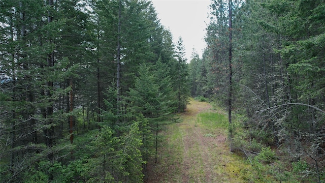 NHN US Highway 93, Big Arm, MT 59910