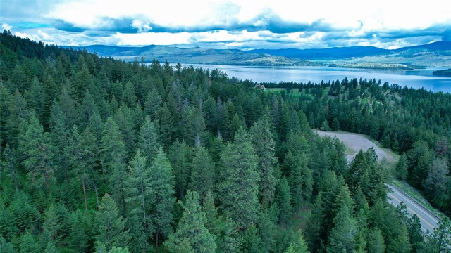 NHN US Highway 93, Big Arm, MT 59910