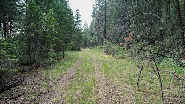 NHN US Highway 93, Big Arm, MT 59910