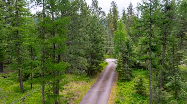 13033 Trinkus Ln, Bigfork, MT 59911 - view of street featuring a forest view