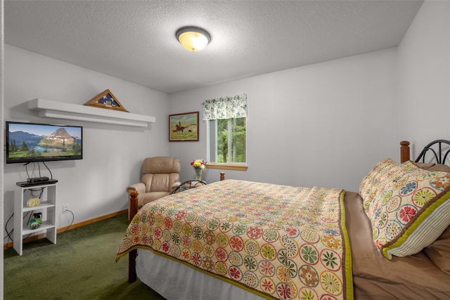 13033 Trinkus Ln, Bigfork, MT 59911 - bedroom with carpet flooring, baseboards, and a textured ceiling