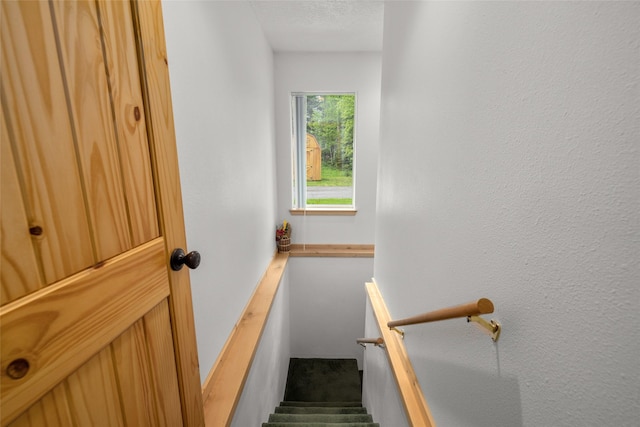 13033 Trinkus Ln, Bigfork, MT 59911 - staircase featuring carpet