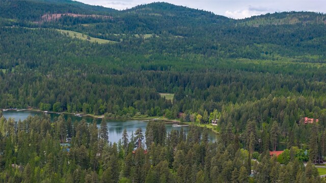 13033 Trinkus Ln, Bigfork, MT 59911 - view of mountain background with a heavily wooded area and a large body of water