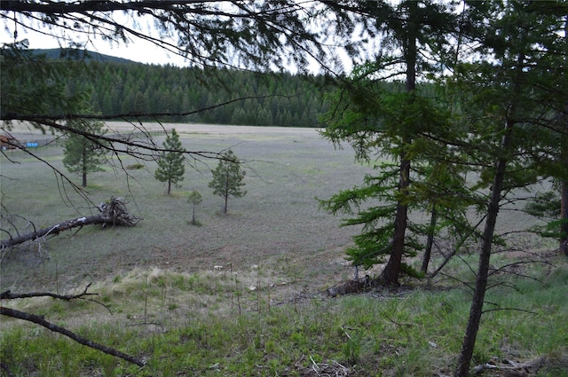 520 Bald Rock Rd, Kalispell, MT 59901