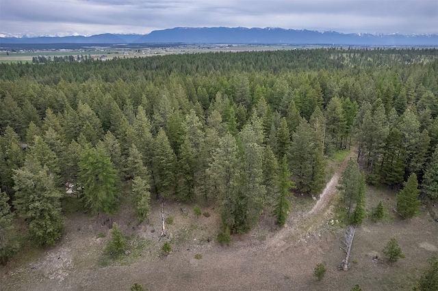520 Bald Rock Rd, Kalispell, MT 59901