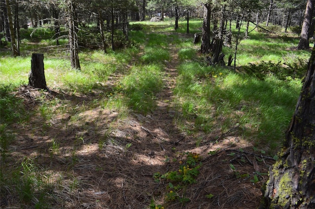 520 Bald Rock Rd, Kalispell, MT 59901