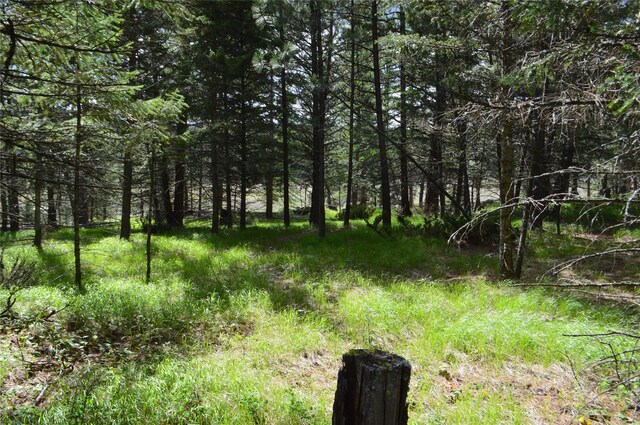 520 Bald Rock Rd, Kalispell, MT 59901