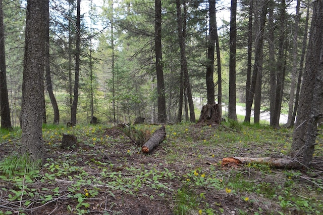 520 Bald Rock Rd, Kalispell, MT 59901