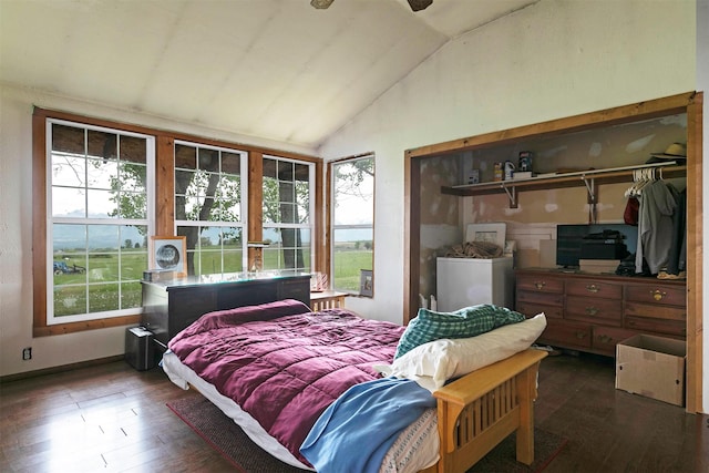 874 Coal Pit Rd, Corvallis, MT 59828 - bedroom featuring vaulted ceiling, multiple windows, wood-type flooring, and a closet