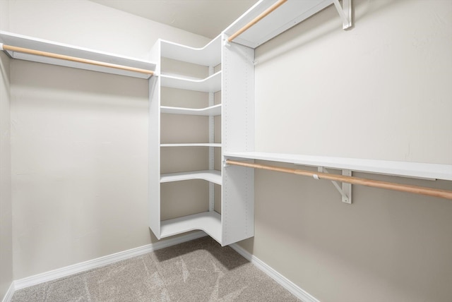 28 Bethany St, Columbia Falls, MT 59912 - walk in closet featuring carpet floors