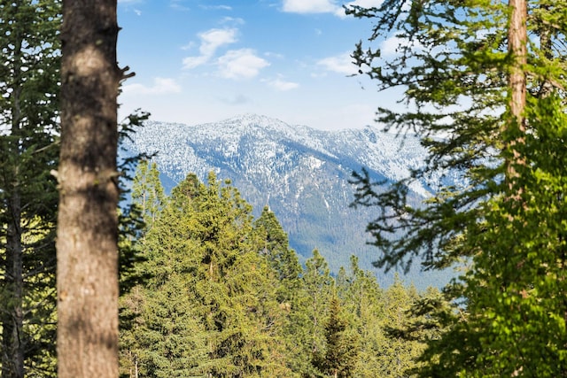 131 Mccaffery Lookout Trl, Bigfork, MT 59911 - mountain view with a heavily wooded area